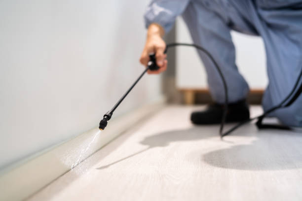 Licensed Termite Control service in Canaan, CT - Nex Pest Control