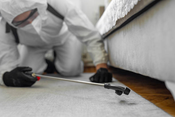 Professional Termite Control technician working in Canaan, CT