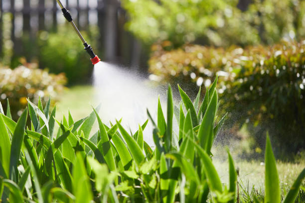 24/7 Emergency Termite Control experts in Canaan, CT