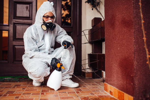Reliable Termite Control contractor in Canaan, CT by Nex Pest Control